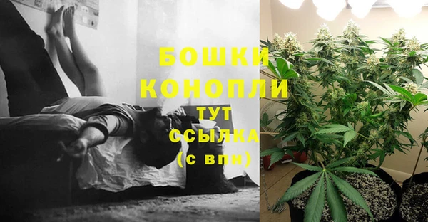 не бодяженный Новодвинск