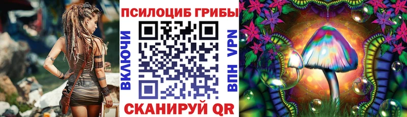 Галлюциногенные грибы Psilocybine cubensis  OMG как войти  Новый Уренгой  купить  сайты 